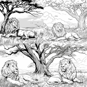 Lion Resting Coloring Page - Soothing Animal Illustration for Relaxation and Creative Fun