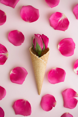 30 Floral Botanical Collection - Vibrant Nature and Wildlife Stock Photos for Creative and Commercial Use