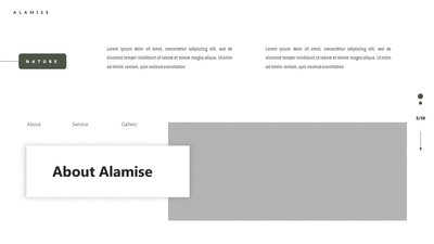 Alamise Aesthetic Slides - Google Format - Sleek Pitch Deck Templates for Professional Business Presentations