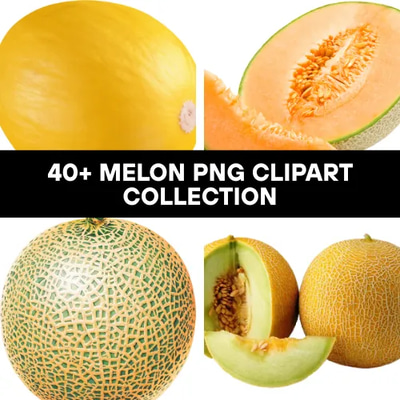 40+ Melon PNG Clipart Collection - Vibrant Food & Beverage Vector Art for Designers and Creators