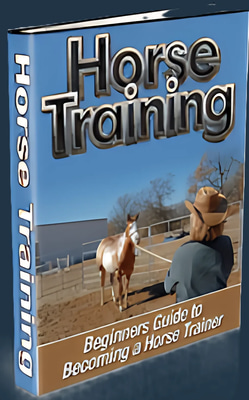 Beginner's Guide to Horse Training - Basic Techniques for New Riders and Equine Enthusiasts