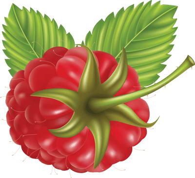 41+ Raspberry PNG Clipart Bundle - Vibrant Food & Beverage Vector Illustrations for Designers and Creators