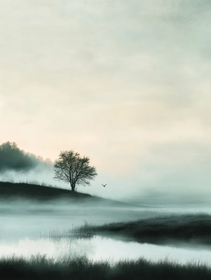 Foggy Morning Countryside - Serene Rural Landscape Art for Timeless Nature Decor and Creative Spaces