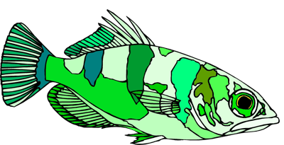 Ocean Fish Aquatic Clipart Set Vol2 - Vibrant Vector Wildlife Illustrations for Creative Designers and Digital Projects