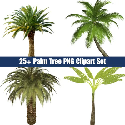 25+ Palm Tree PNG Clipart Set - Vibrant Nature & Landscape Illustrations for Creative Projects and Branding