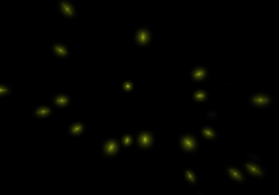100 Forest Firefly Overlays - Atmospheric Light Effects for Photographers and Digital Creators