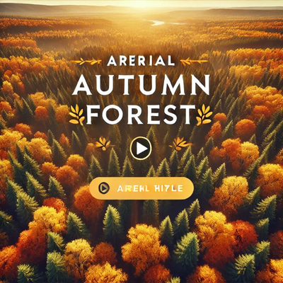 Aerial Autumn Forest - Cinematic Aerial Nature Footage for Filmmakers and Creators