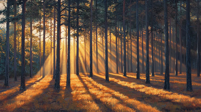 Forest Sunrise Glow - Vibrant Landscape Art Capturing Golden Hour Serenity for Nature Lovers and Creative Decor