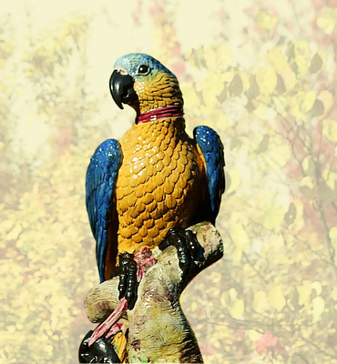 21 Bird Wildlife Portrait Pack - Stunning Nature & Travel Photography for Creators and Marketers