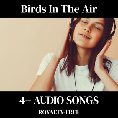 Birds In The Air - HarmonyVerse AI Music for Uplifting and Cinematic Audio Experiences