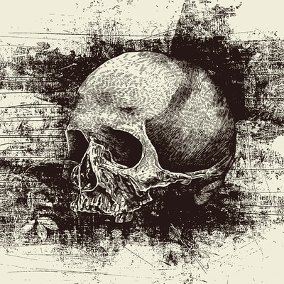 100+ Skull Vector Art - Day of Dead - Vibrant Vector Collection for Designers and Creators Celebrating Mexican Heritage