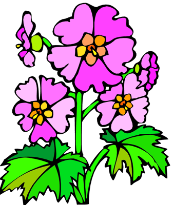 10+ Flower Clipart - Nature Inspired Collection - Hand-Drawn Floral Illustrations for Creative Projects and Branding