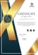 130+ Premium Certificate Bundle - Elegant Virtual Certificates for Professional and Educational Use 5
