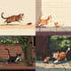 Cat Chasing Mouse Pixel Animation - Charming Retro Pixel Art Animation for Indie Games and Creative Projects 4