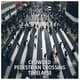 Crowded Pedestrian Crossing Timelapse - Cinematic Aerial Time-Lapse Video for Dynamic Urban Storytelling and Visual Projects 5