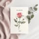 Rose Valentine's Day Card - Elegant Romantic Greeting for Heartfelt Love Messages 6