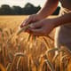 Hand Picking Grain Slow Motion - Cinematic Slow Motion Wildlife and Nature Stock Video for Filmmakers and Content Creators 2025 6