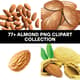 77+ Almond PNG Clipart Collection - Premium Food & Beverage Illustrations for Creative Projects and Branding 5