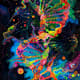 Abstract DNA Helix - Neon Intertwined Forms - Vibrant Abstract Art for Modern Creative Spaces and Digital Projects 6