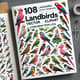 108 Landbirds Vector Clipart - CorelDRAW Templates - Detailed Wildlife Illustrations for Designers and Creative Projects 3