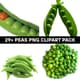 29+ Peas PNG Clipart Pack - Vibrant Food & Beverage Illustrations for Creative Projects and Branding 1