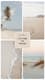 Minimal Beige Collage - Insta Story Template - Elegant Animated Social Media Design for Engaging Brand Stories 3