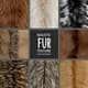 Realistic Fur Texture Brushes Photoshop - Premium Fur Detailing Brushes for Digital Artists and Photo Editors 3