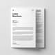 Letter Brochure Clean Single Page Corporate Format - Sleek Multi-Purpose Marketing Brochure Kit for Professionals 3