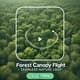 Forest Canopy Flight - Seamless Nature Loop - Cinematic AI-Enhanced Motion Backgrounds for Video Creators and Storytellers 1