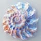 Abstract Seashells - Spiral Organic Curves - Serene Abstract Art for Creative Spaces and Visual Inspiration 6