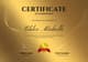 Golden Modern Recognition Certificate - Sleek Editable Award Template for Professional Achievement and Training Success 4