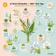 AI घरेलू उपचार - 200+ Viral Tips - AI-Enhanced Fitness & Health Reels for Engaging Wellness Content Creators 1