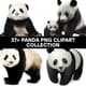 37+ Panda PNG Clipart Collection - Charming Wildlife Vector Art for Designers and Creators 3