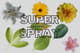Super Spray Paint Effect Plugin - Dynamic Photo Editing Plugin & Themes for Creative Image Enhancement 6