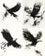 Soaring Eagle Ink Illustration - Elegant Ink Painting for Artistic Projects and Fine Art Creations 4