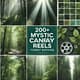 200+ Mystic Canopy Reels - Forest Bathing - Cinematic Nature Reels for Immersive Wellness and Creative Video Projects 4