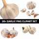28+ Garlic PNG Clipart Set - Premium Hand-Drawn Food Illustrations for Creative Culinary Designs 1