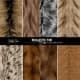 Realistic Fur Texture Brushes Photoshop - Premium Fur Detailing Brushes for Digital Artists and Photo Editors 5