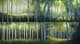 Thick Forest Landscape - Immersive Woodland Art for Nature Lovers and Creative Projects 3