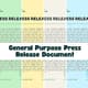 General Purpose Press Release Document - Professional Business Communication Template for Clear Media Announcements 3