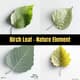 Birch Leaf - Nature Element - Realistic 3D Render for Designers and Environmental Visuals 2025 4