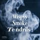 Wispy Smoke Tendrils - Atmospheric Fog Motion - Cinematic Motion Graphics Overlays for Filmmakers and Creators 4