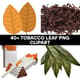 40+ Tobacco Leaf PNG Clipart - Natural Botanical Elements for Creative Design and Branding Projects 4