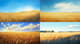 Summer Field View - Serene Landscape Art for Tranquil Decor and Creative Projects 1