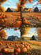 Autumn Pumpkin Patch - Serene Autumn Landscape Art for Seasonal Decor and Creative Projects 3
