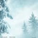 Gentle Snowfall Peaceful Winter Overlay - Cinematic Motion Graphics for Soothing Seasonal Videos and Visual Storytelling 1