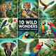 10 Wild Wonders Video Prompt Bundle - Cinematic AI Video Prompts for Creative Filmmakers and Content Creators 1