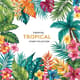 Tropical Stamp Brush Collection - Vibrant Digital Brushes for Lush, Tropical-Inspired Artwork and Design Projects 3