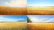 Summer Field View - Serene Landscape Art for Tranquil Decor and Creative Projects 4