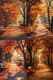 Peaceful Autumn Park - Serene Landscape Art for Relaxing Spaces and Creative Decor 1